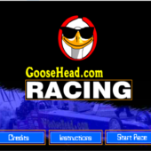 Goosehead Race 2