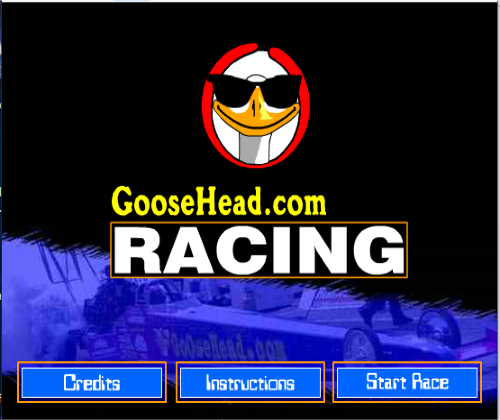 Goosehead Race 2