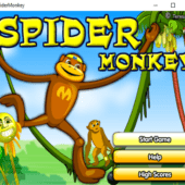 Spider Monkey